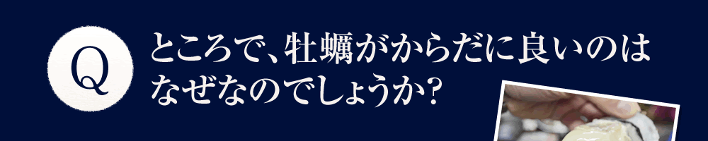 ところで、牡蠣がからだに良いのはなぜなのでしょうか？