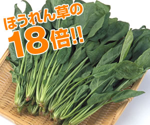 ほうれん草の18倍!!