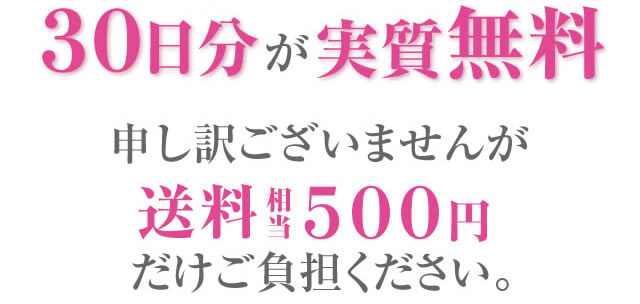 なんと今なら… ３０日分が実質 無料申し訳ございませんが送料相当５００円だけご負担ください。