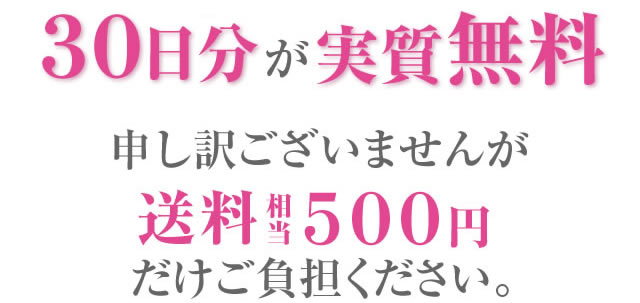 なんと今なら… ３０日分が実質 無料申し訳ございませんが送料相当５００円だけご負担ください。