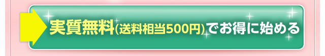 毎月293名様限定！約１００％ＯＦＦ！実質無料（送料相当500円）でお得に始める