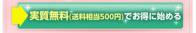 毎月293名様限定！約１００％ＯＦＦ！実質無料（送料相当500円）でお得に始める